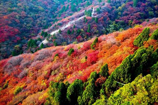 说明: E:\工作\王经理\霜降\3.jpg